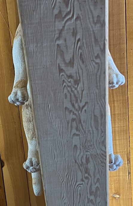 Two Cats and a Raccoon 3