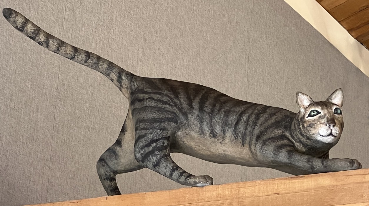 Two Cats and a Raccoon 4