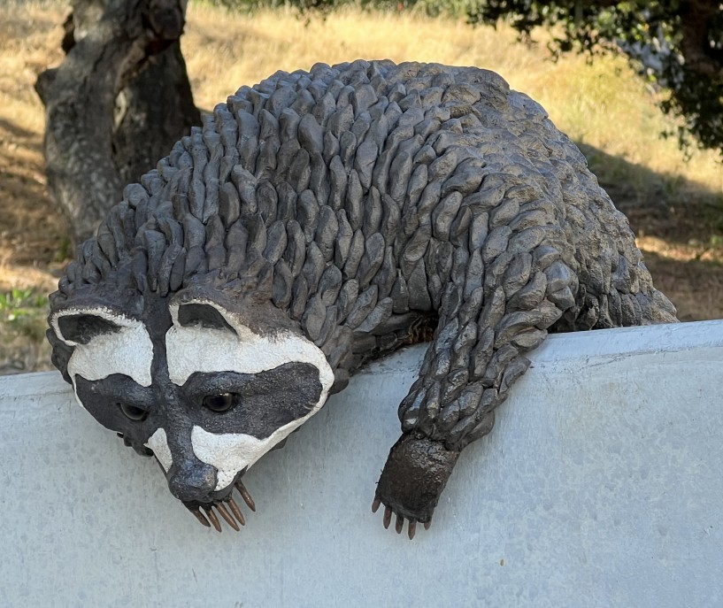 Two Cats and a Raccoon 6