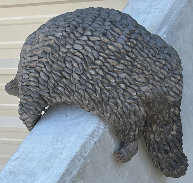 Two Cats and a Raccoon 7